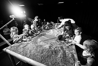 • Сцена из спектакля “Что случилось с крокодилом”. Фото предоставлено Кемеровским театром для детей и молодежи