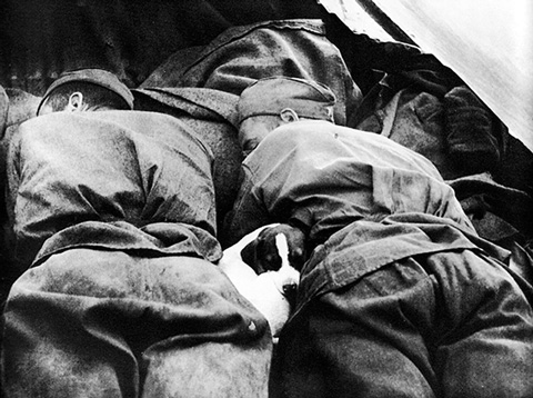 Пусть солдаты немного поспят. Прага. 1945. Фото Георгия Липскерова